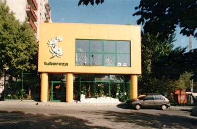 tuberoza-4_akwarela
